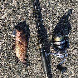 グルーピング？(笑)