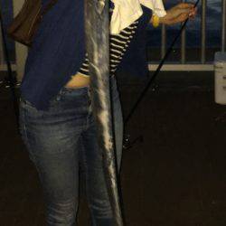 ポートアイランド タチウオ3匹