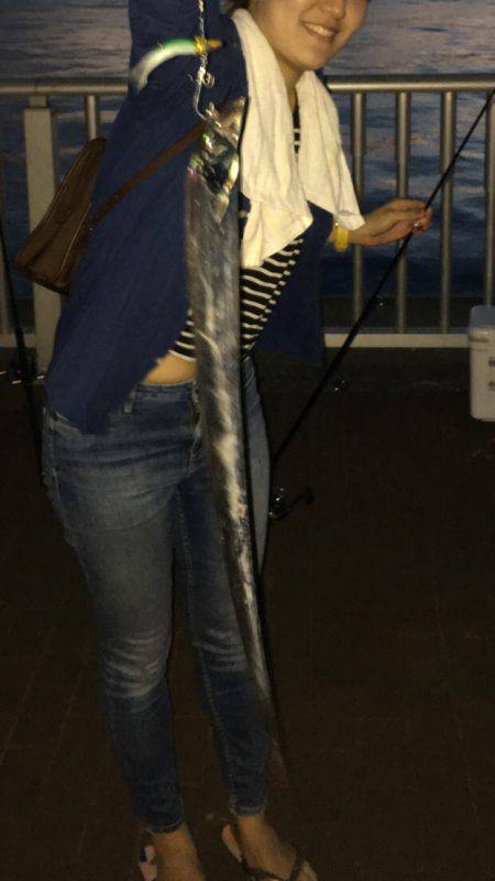 ポートアイランド タチウオ3匹