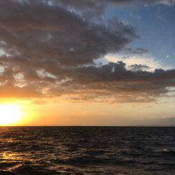 太刀魚狙い、、、