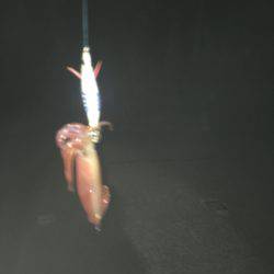 んー微妙やった