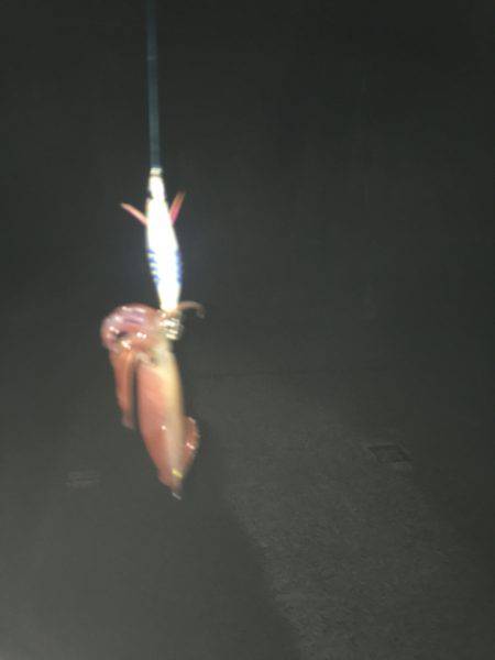 んー微妙やった