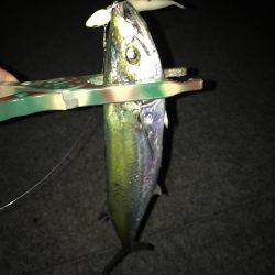 余裕をもって 参りましょう