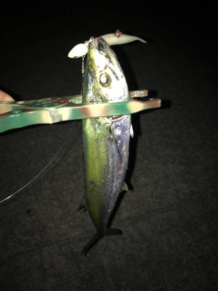 余裕をもって 参りましょう