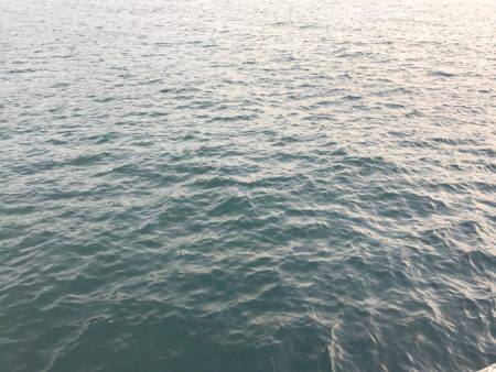 朝マヅメ釣行③