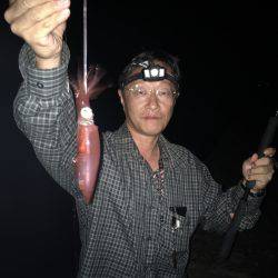 夜中ケンサキイカゲーム