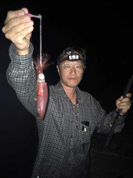 夜中ケンサキイカゲーム