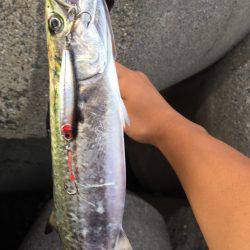 デカすぎタチウオ