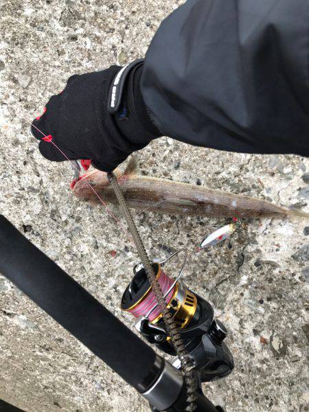 キビシイ・・・