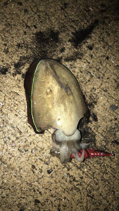 雨が降ってても