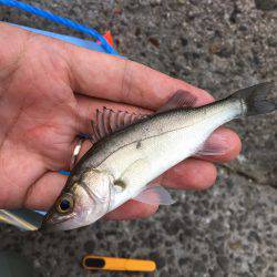 夜勤終わりに来ちゃいました！笑