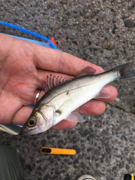 夜勤終わりに来ちゃいました！笑