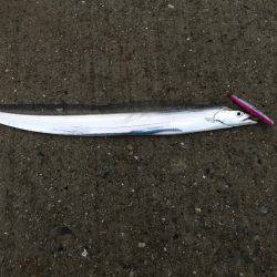 ヒットパターン