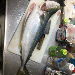 ゲキ渋 ベイトなしショアジギ