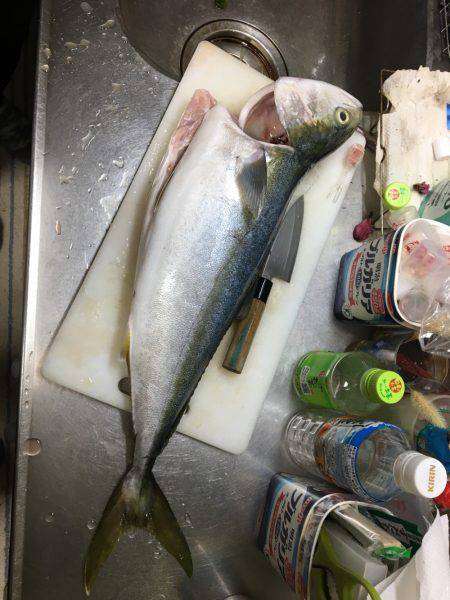 ゲキ渋 ベイトなしショアジギ