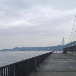 雨が降ったり止んだり、、、