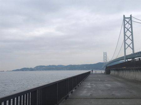 雨が降ったり止んだり、、、