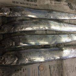 太刀魚釣り