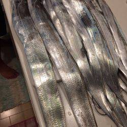 神戸ポートアイランド タチウオ