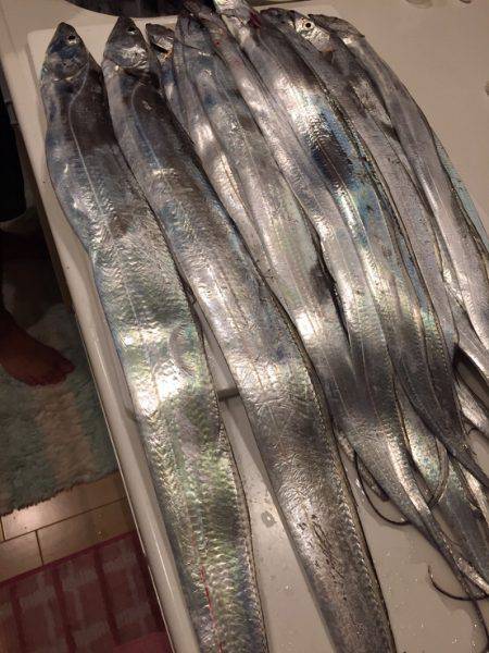 神戸ポートアイランド タチウオ