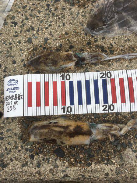 新子は思うほど