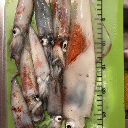 ビギナーズラック