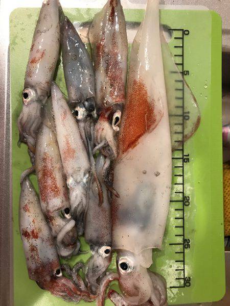 ビギナーズラック