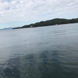 今年初エギング