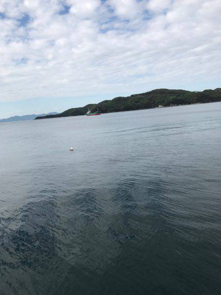 今年初エギング