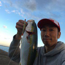 ケンサキイカ☆マイカゲームからシーバス☆ツバスゲームへ