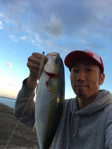 ケンサキイカ☆マイカゲームからシーバス☆ツバスゲームへ