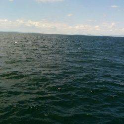 DAYショアジギング