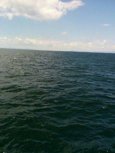 DAYショアジギング