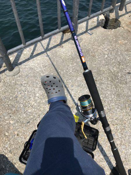 タチウオから青物へ