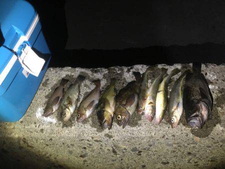 オホーツクロック！