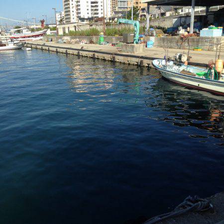 垂水漁港でエギングのはずが・・・
