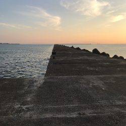 津田沖一文字で12〜15センチのアジ150匹