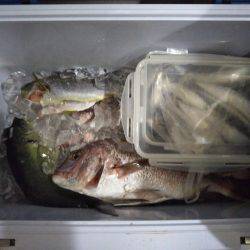 9月の海上釣堀オーパ!!