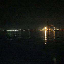 水軒鉄鋼団地 タチウオ ２匹