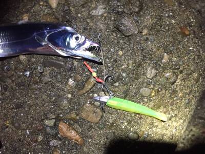 回ってきました