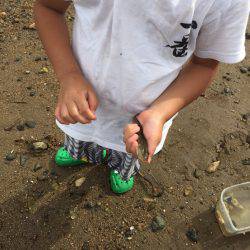 一家でハゼクラ