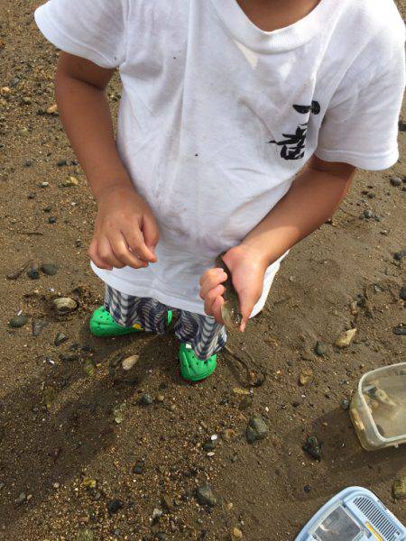 一家でハゼクラ