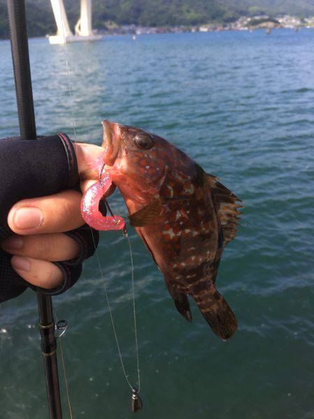 昨日は酷かった・・・今日は・・・