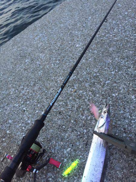 今年初のタッチ〜