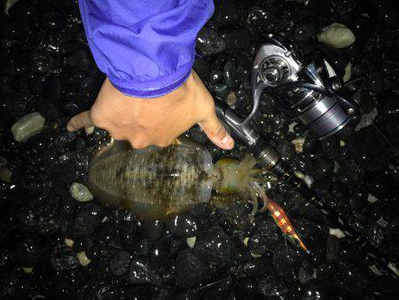 今年度第2回 新子エギング