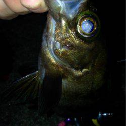 キープオンアジング