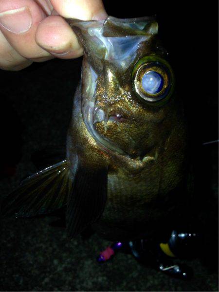 キープオンアジング