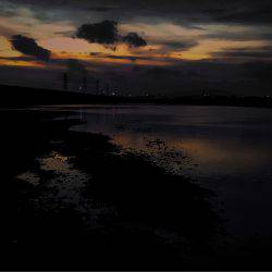 ナイトウェーディング