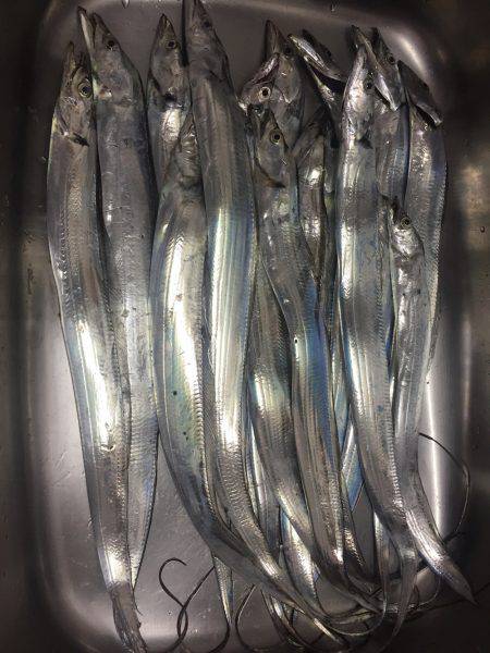 釣れすぎ注意！