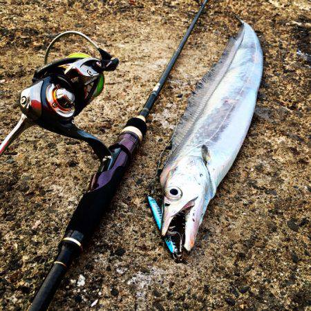 バーサー求めて